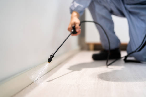 Licensed Termite Control service in Graves County County, KY - Nex Pest Control
