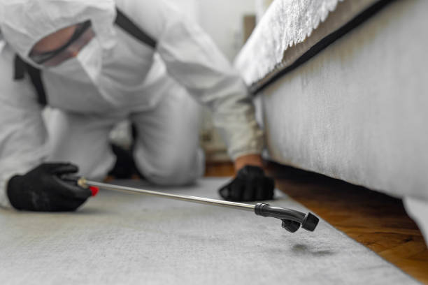 Professional Termite Control technician working in Graves County County, KY